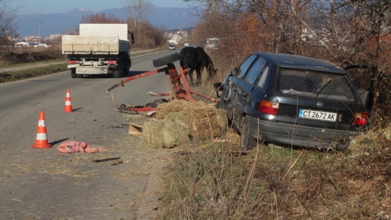 Каруца теглена от кон се вряза в камион в Криводол