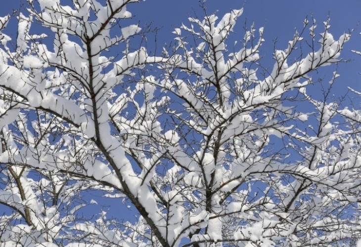 Днес с умерен и временно силен северозападен вятър над страната