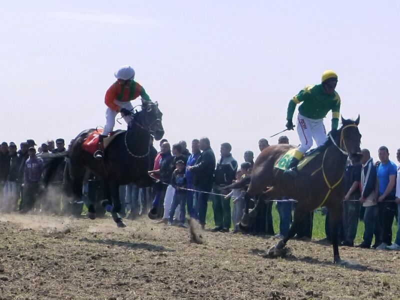 Община Борован кани всички жители и гости на традиционните конни