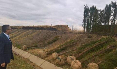 Кипарисите на магистрала Тракия край Карнобат които от Министерство на