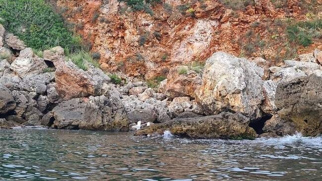 Районът на скалите между Тюленово и Камен бряг е отцепен