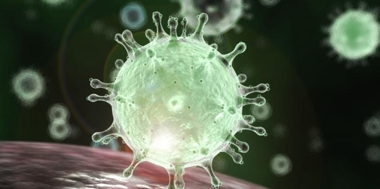 Новият коронавирус продължава да се разпространява Испания съобщи за първи