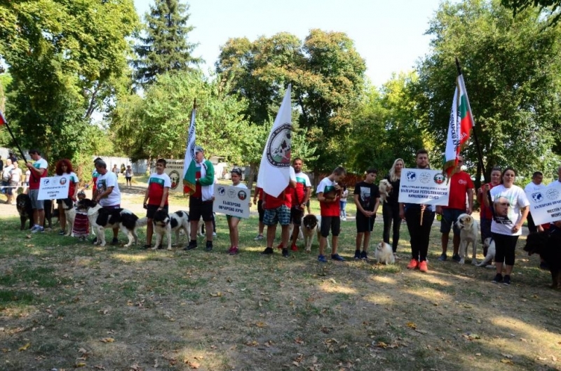 Видин бе домакин на национална киноложка изложба организирана от Световен киноложко ловно спортен