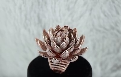 Индийските бижутери Вишал Агарвал и и Кушбу Агарвал поставиха световен