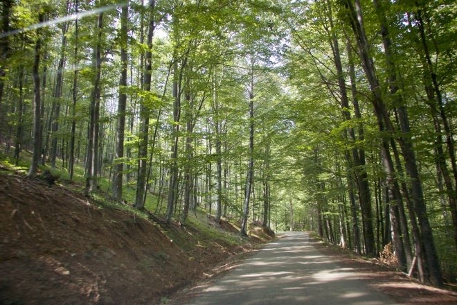 Община Берковица уведомява че във връзка с изпълнение на обществена