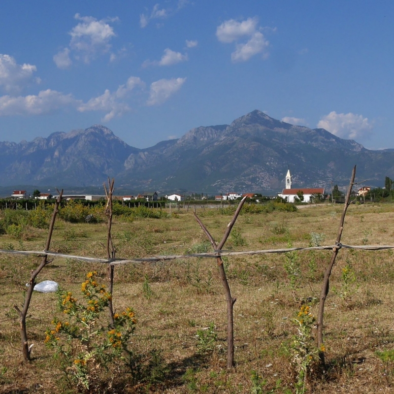 Признаването на българското малцинство в Албания беше очаквано въпреки че