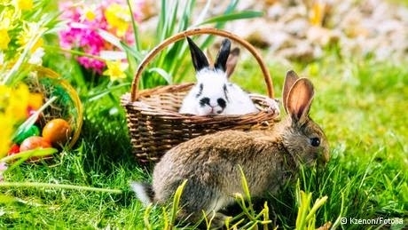 Великден е един от най големите празници който се празнува почти по