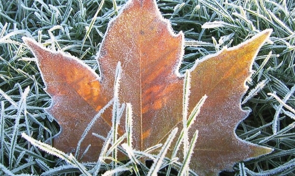 През следващото денонощие в равнините и низините ще бъде с