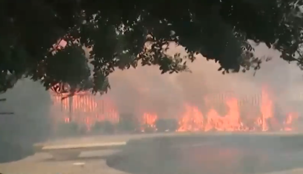Стотици бяха евакуирани в Калифорния заради горски пожар Огънят се