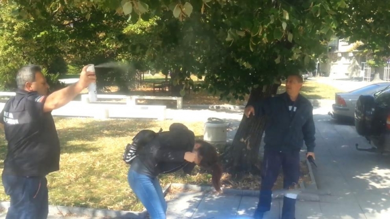 Рояк пчели създаде паника сред жители на Търговище От любителско