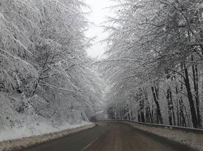 І МЕТЕОРОЛОГИЧНА ОБСТАНОВКА Температурите са в интервала от 10 deg