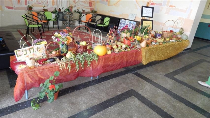 Изложба с даровете на есента подредиха ученици от видинското училище Петко