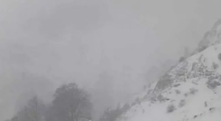 Близо 50 души и три спасителни кучета издирваха изчезналите под