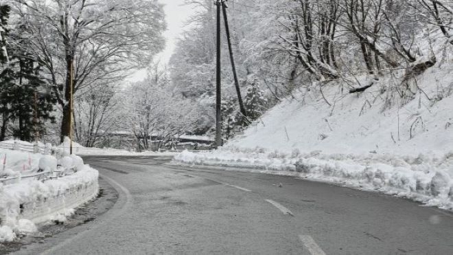 Прогнозите на синоптиците за обилен снеговалеж в страната се сбъднаха Към