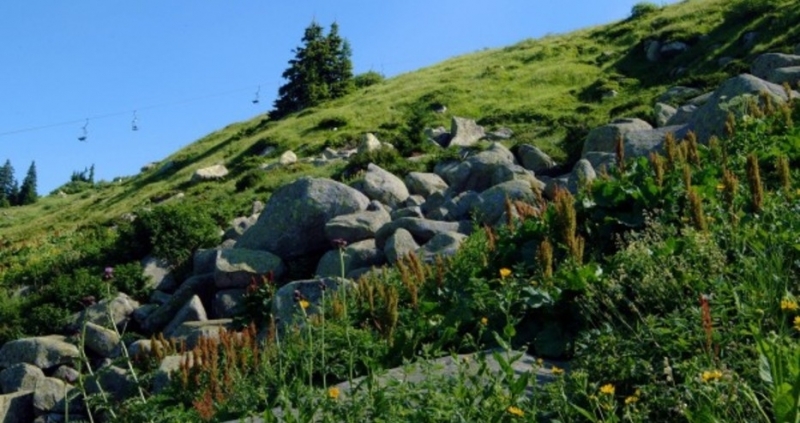 Днес отново ще бъде предимно слънчево след обяд с временни