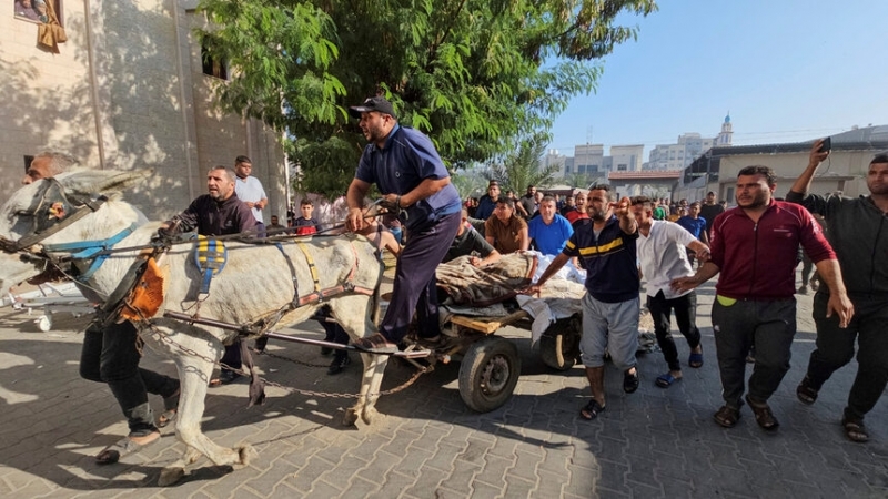 Представител на Световната здравна организация каза във вторник 31 октомври