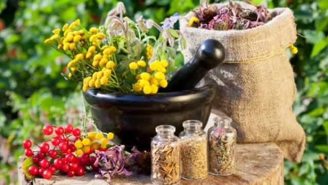Билките и ароматните растения са известни като лекарства от хиляди