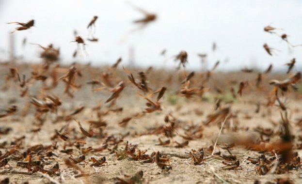 В разгара на епидемията от COVID 19 източната част на Африка