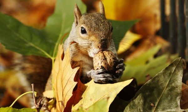 До 25 градуса ще стигнат температурите в петък прогнозират синоптиците
