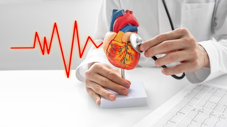 Изследователи проучват влиянието на различни въглехидрати върху здравето на сърдечносъдовата