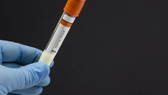 В австралийския щат Куинсланд е разпоредено унищожаването на замразена сперма