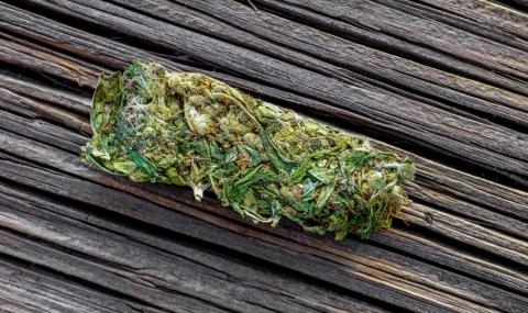 Гръцкият парламент легализира производството на канабис за медицински цели и