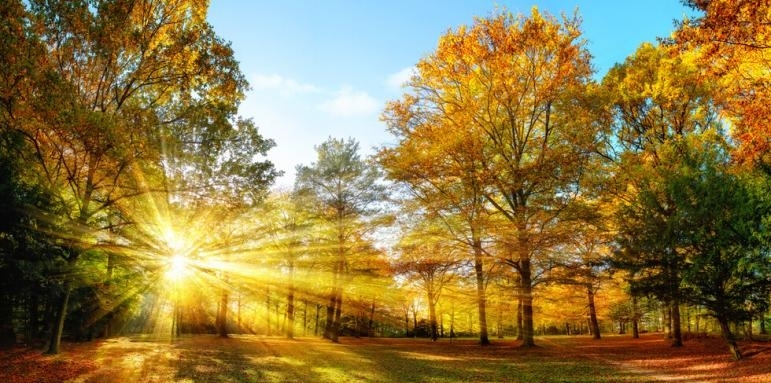 През нощта ще е предимно ясно в повечето райони –