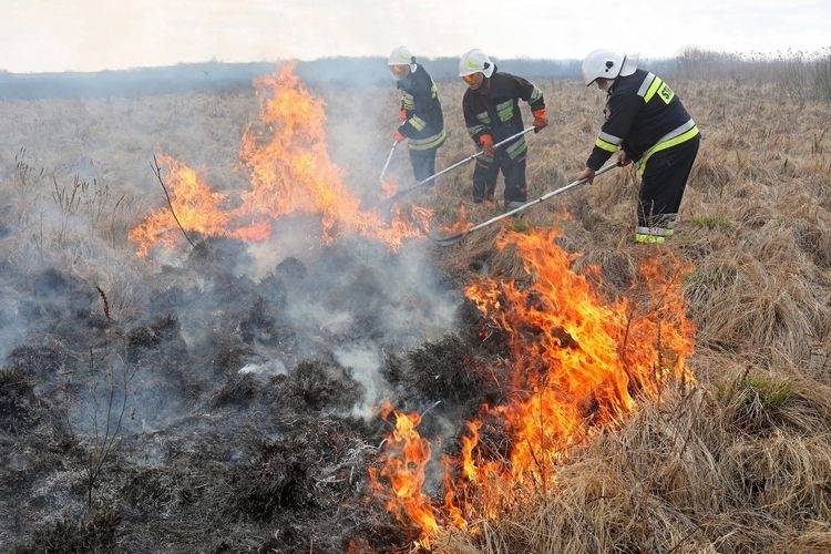 Пожарникари са гасили два пожара в Монтанско, съобщиха от областната