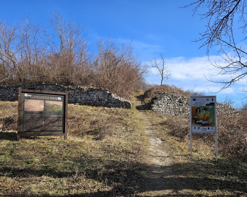По инициатива на кмета на Община Берковица Радослав Найденов започна