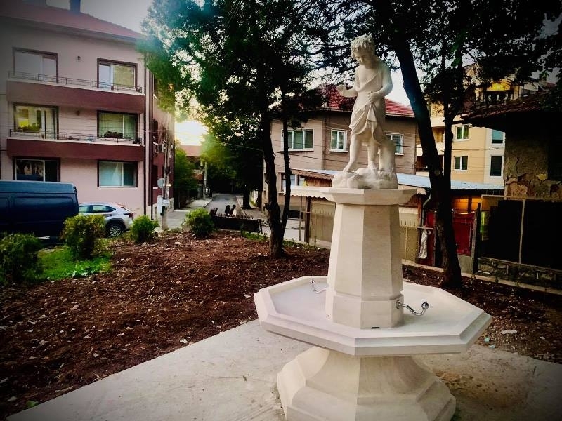 Емблематичният за региона винен сорт грозде Врачански мискет е