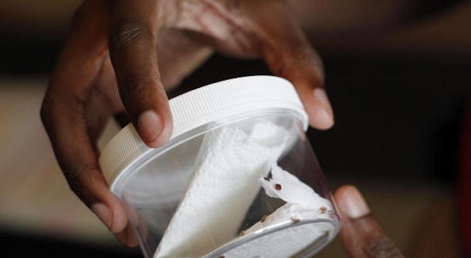 Полицейски участък в Североизточен Париж е затворен от вчера поради