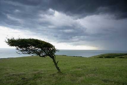 Минималните температури днес ще са между 9 deg и 14 deg а