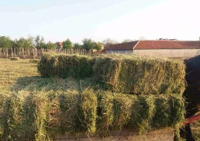 Мъж е откраднал балите с люцерна на съселянин във врачанското