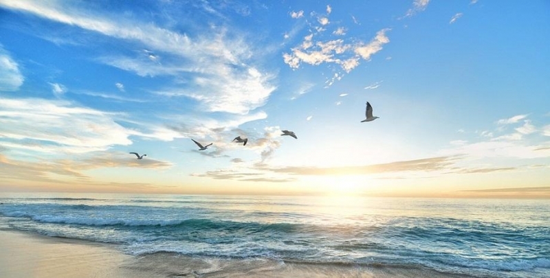 Днес ще бъде слънчево и горещо Вятърът ще се ориентира