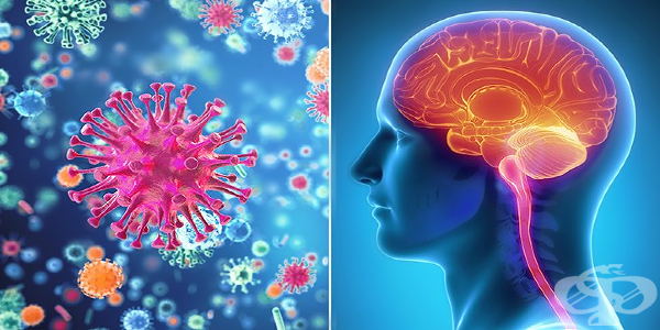 За случай на заразен със серозен менингит алармират здравните власти