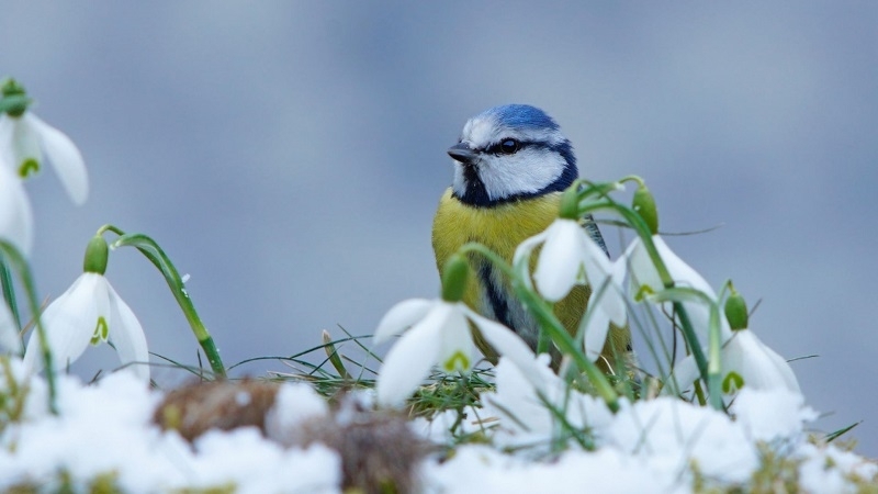 През нощта облачността ще продължи да се разкъсва и да