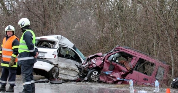 Кучета излезли на пътя са вероятна причина за адската катастрофа