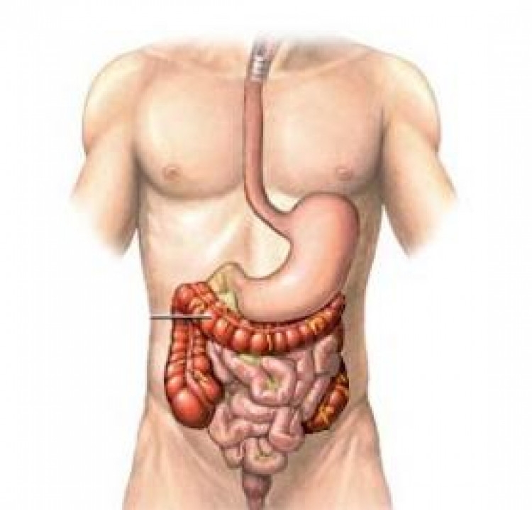 Ново изследване на учени от Съединените американски щати установи как