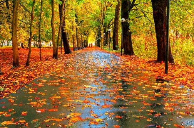 Временни разкъсвания над облачността ще има през деня днес на южните