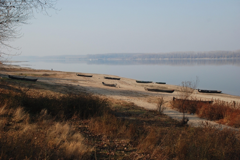 Любителите на риболова от Лом ще могат да хвърлят въдиците