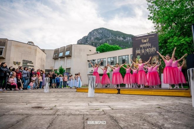С богата програма Регионалният исторически музей във Враца отбеляза Европейска