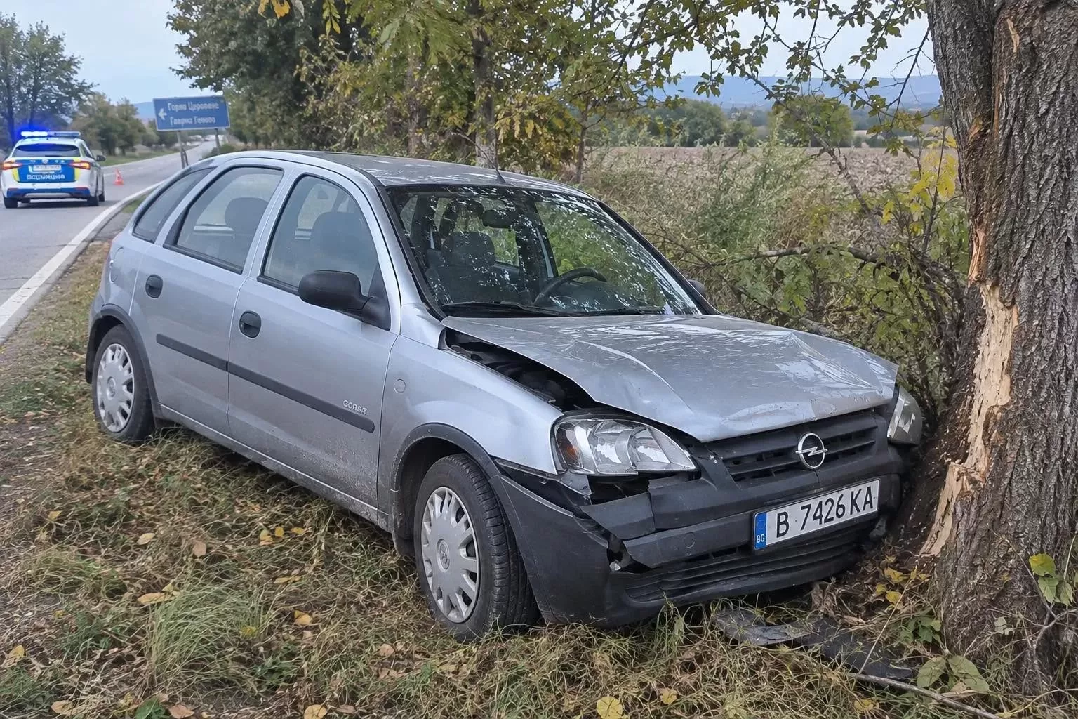 Жертва на лошото време! Варненка заби колата си в крайпътно дърво в Монтанско, в болница е