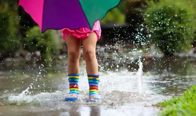 През нощта над страната ще е предимно ясно Вятърът от