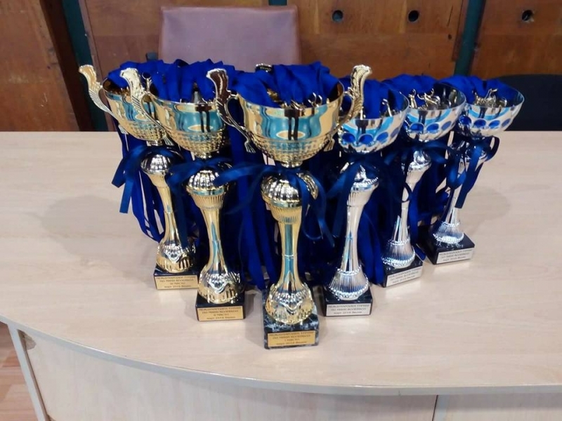 На 3 и 4 март волейболен клуб Бдин Вида