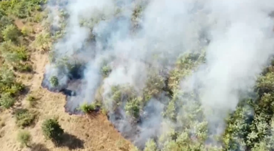 Продължава борбата с пожарите в Хасковска област Хиляди декари са
