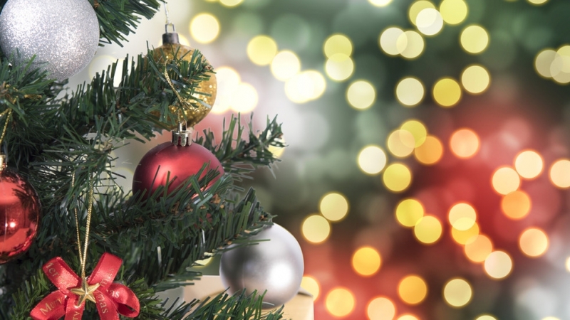 Коледната елха на столицата ще засвети в петък вечерта в