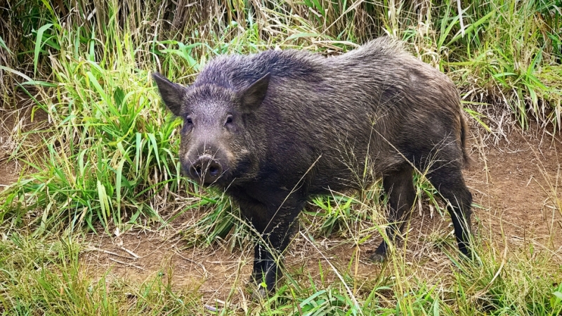 Изолирана е зона от 200 квадратни километра около мястото където