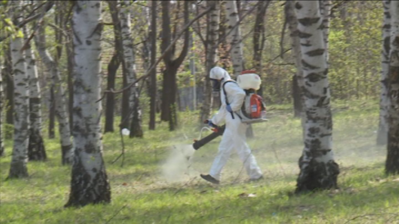 В Русе започна пръскането с препарати срещу комари, кърлежи и