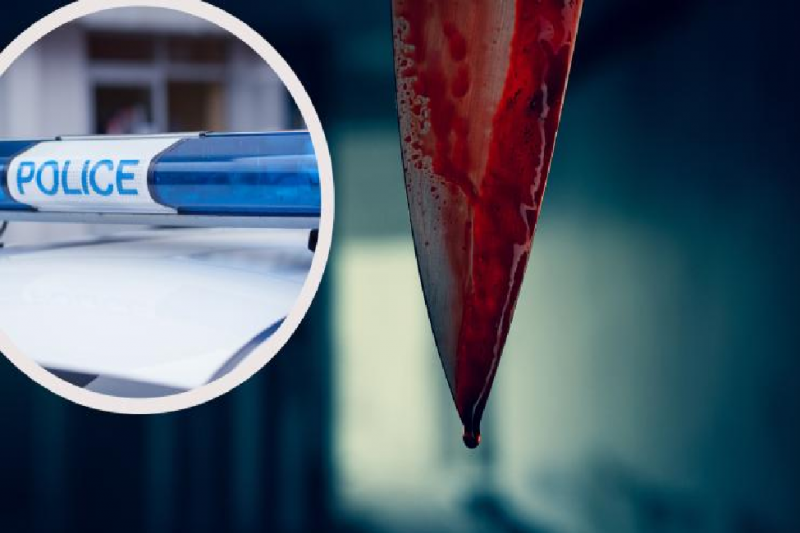 Пиян рецидивист намушка с нож съседа си в Сливница съобщиха от