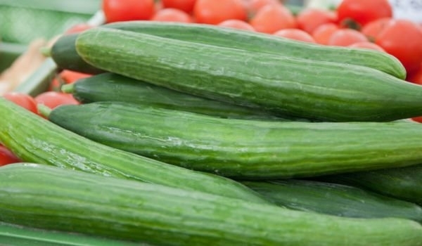 Цената на килограм краставици по пазарите надмина цената на килограм